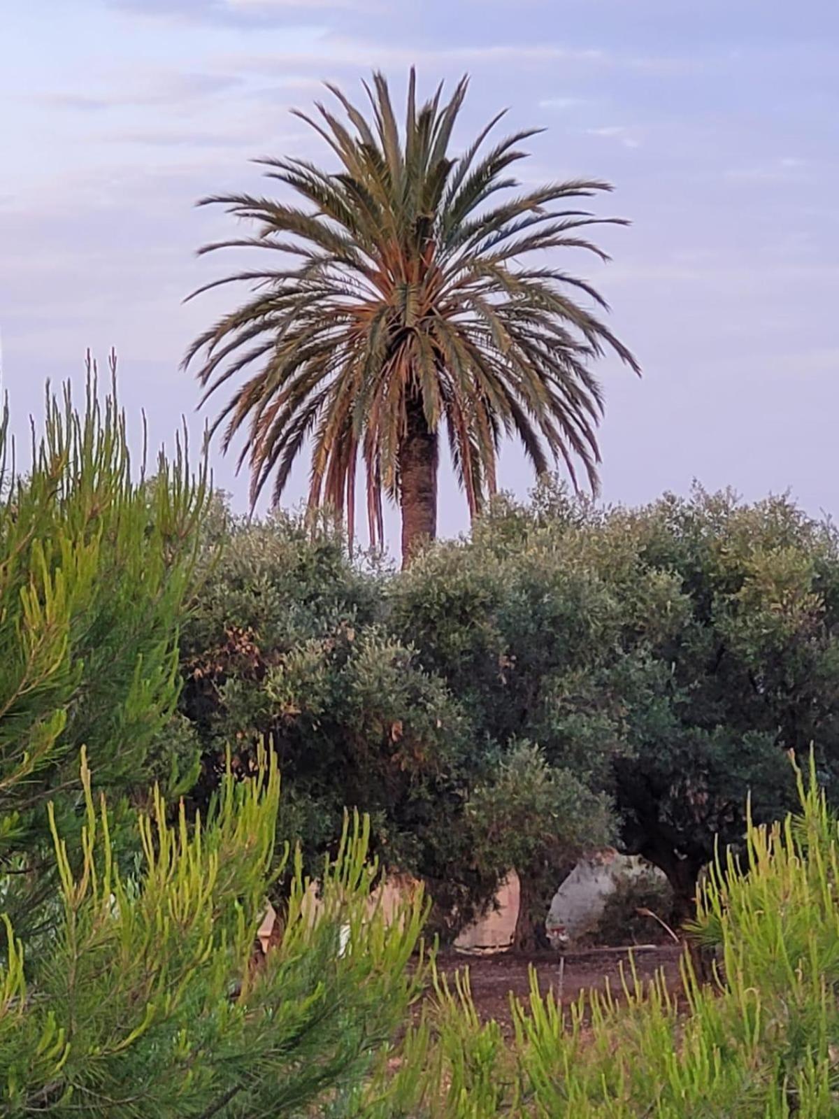 Casitas Del Mar Hébergement de vacances
