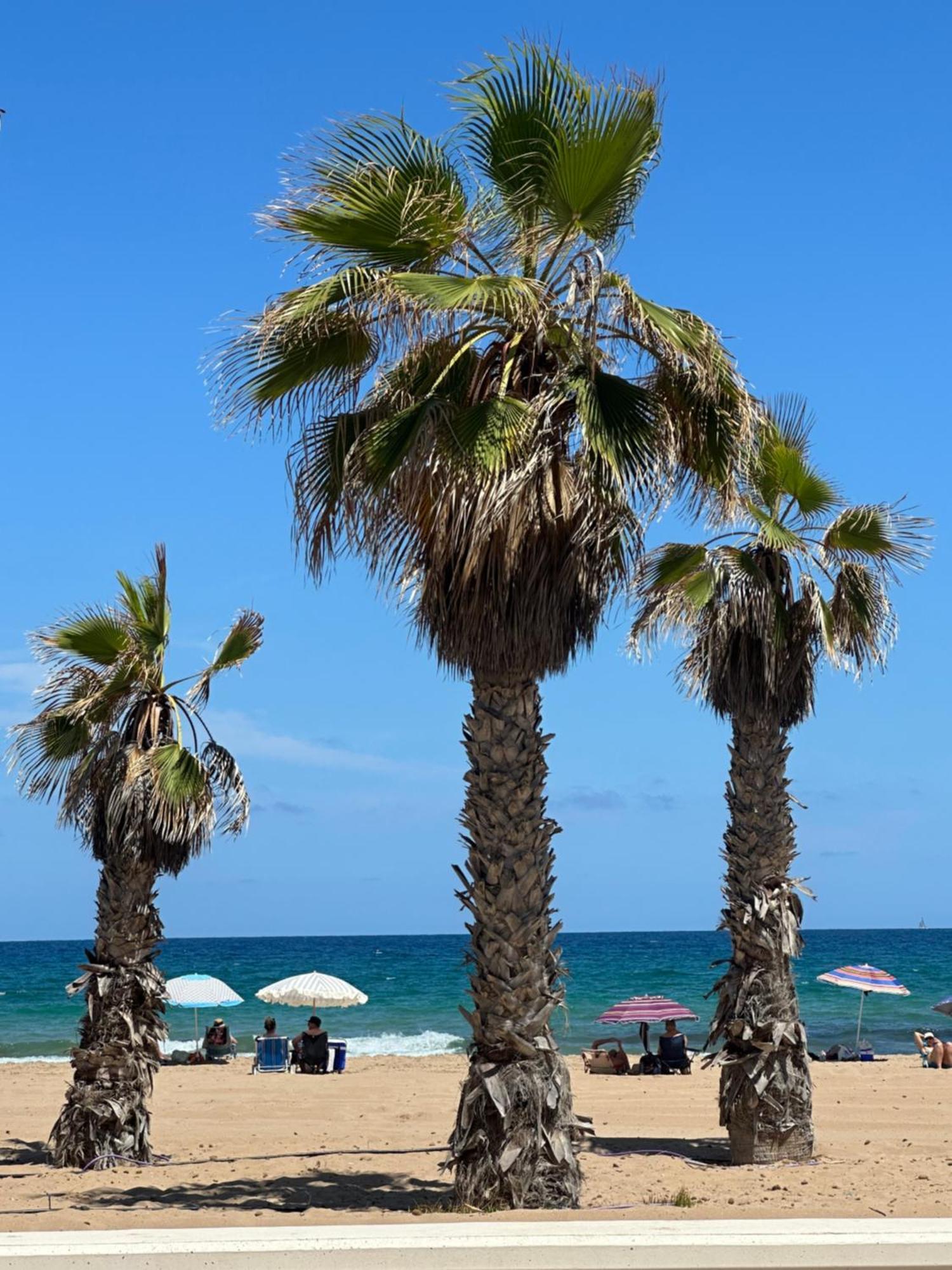 Holiday home Casitas Del Mar Alicante